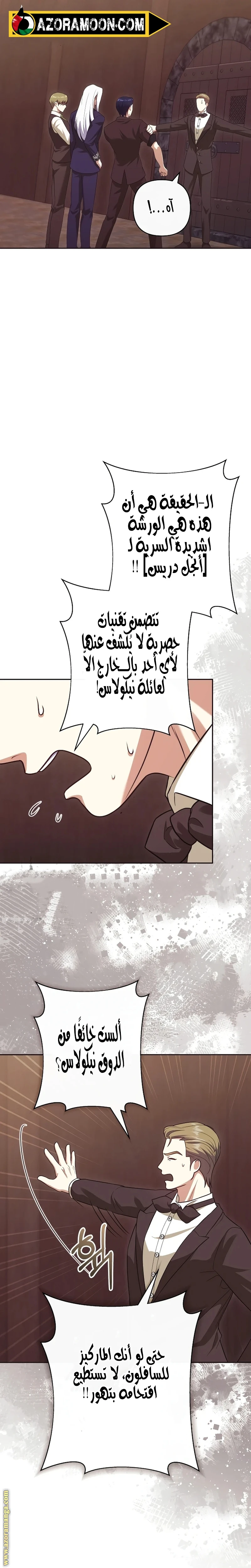 الصفحة 29