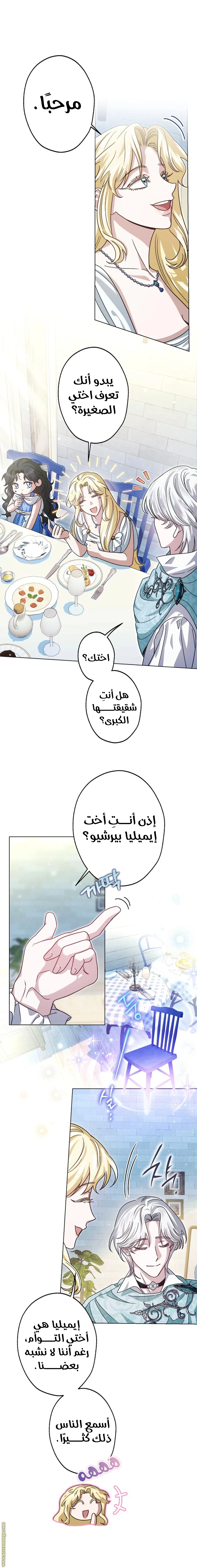 الصفحة 15