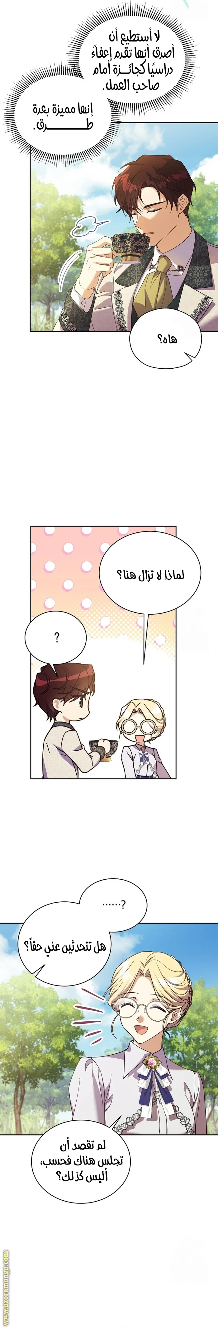 الصفحة 17