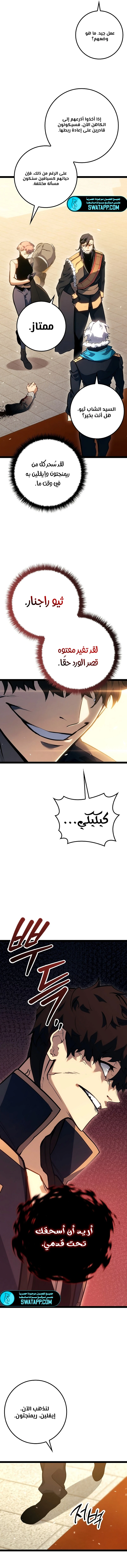 الصفحة 17