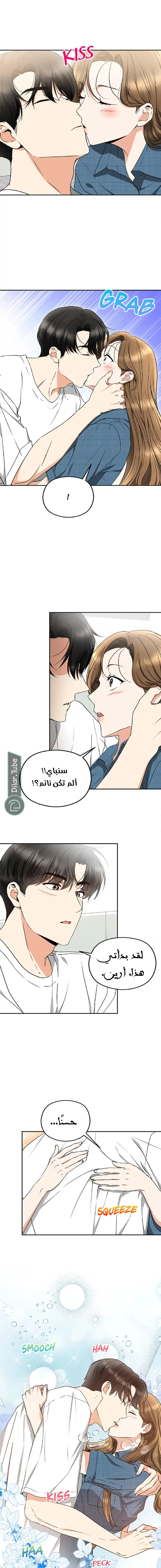الصفحة 13