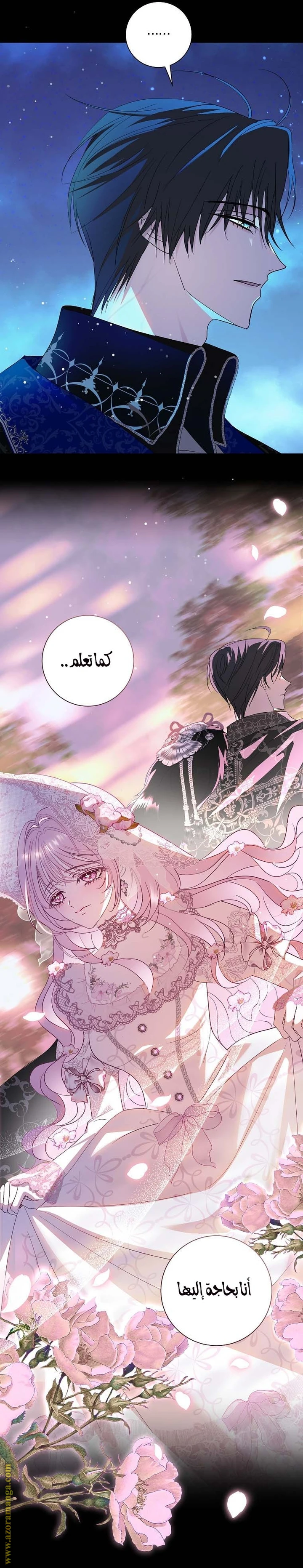 الصفحة 25