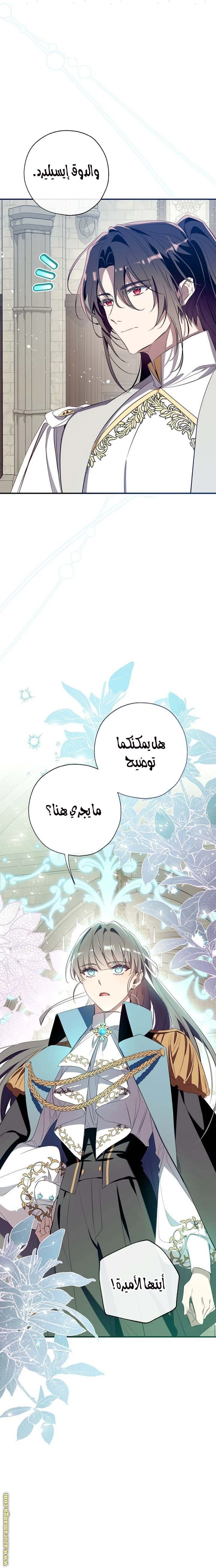 الصفحة 13