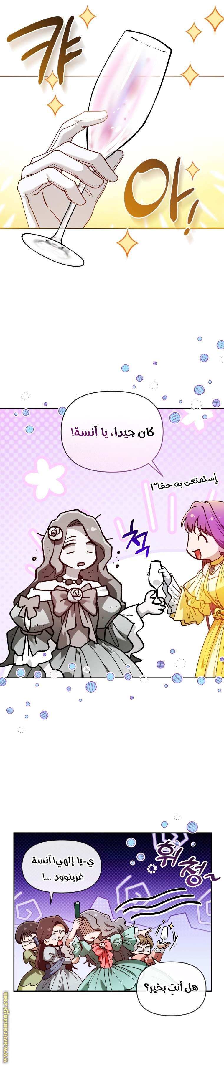 الصفحة 17