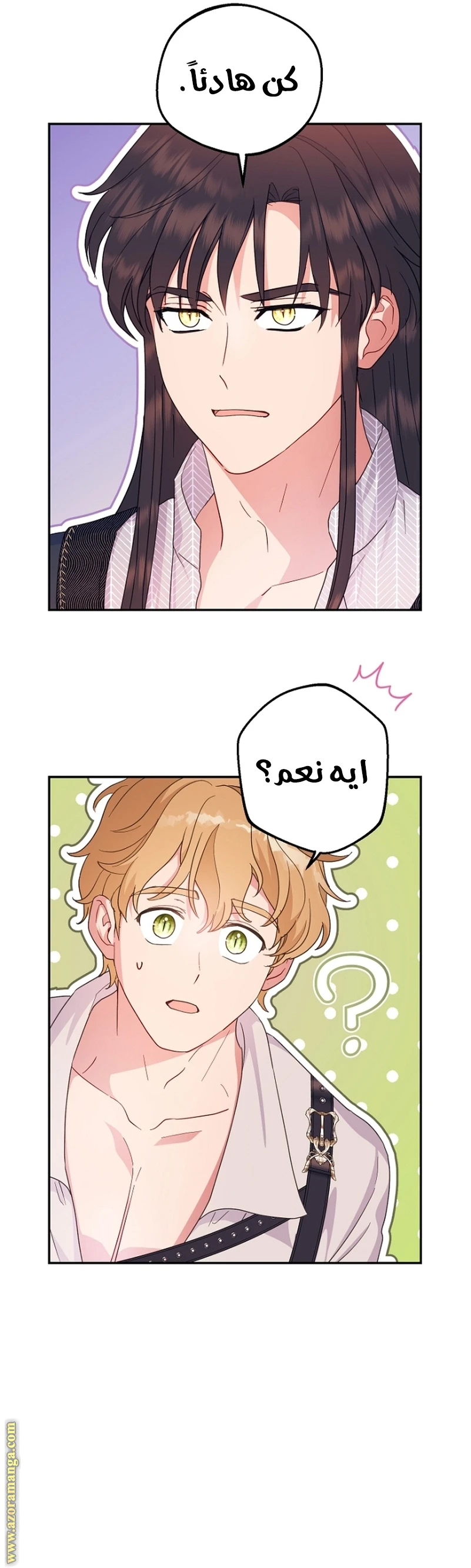 الصفحة 16