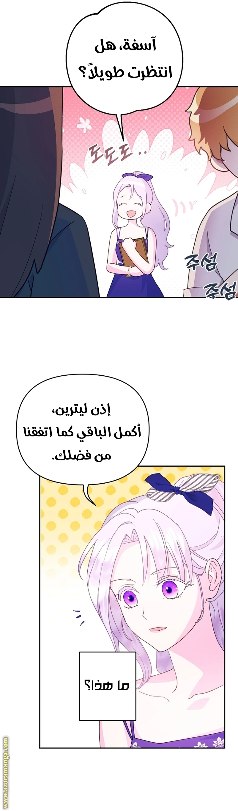 الصفحة 17