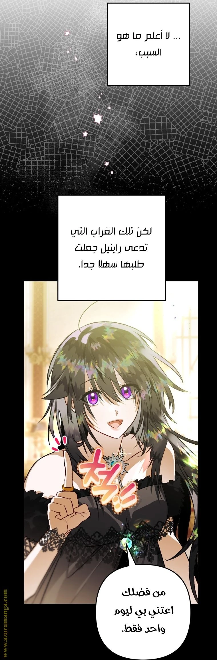 الصفحة 13