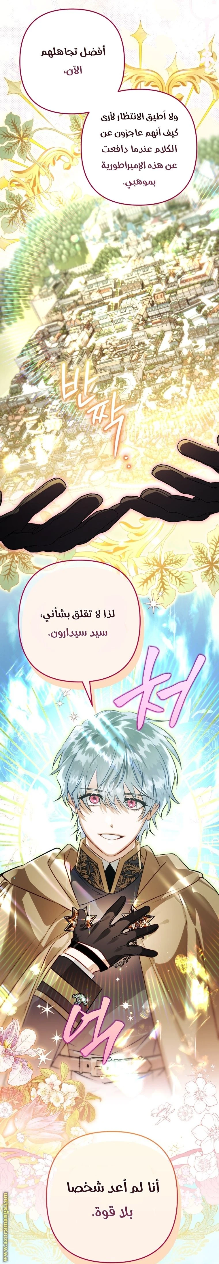 الصفحة 25