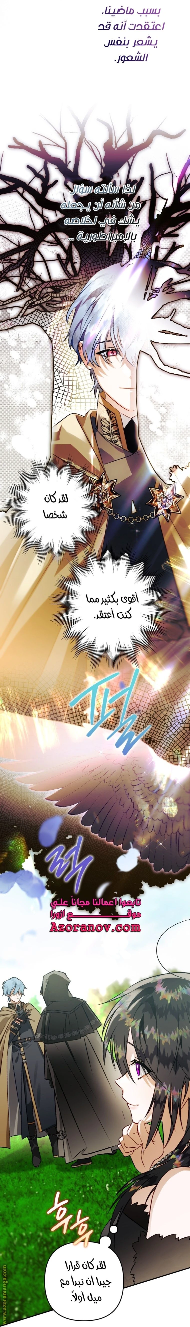 الصفحة 27