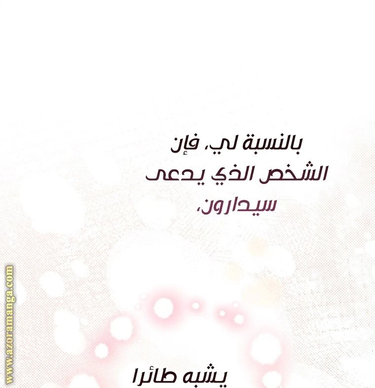 الصفحة 28