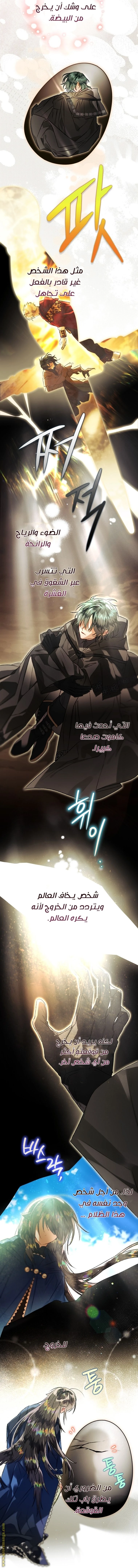 الصفحة 29