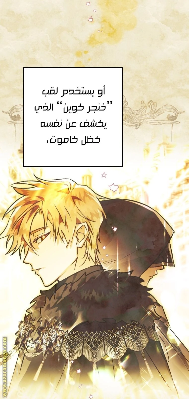 الصفحة 31