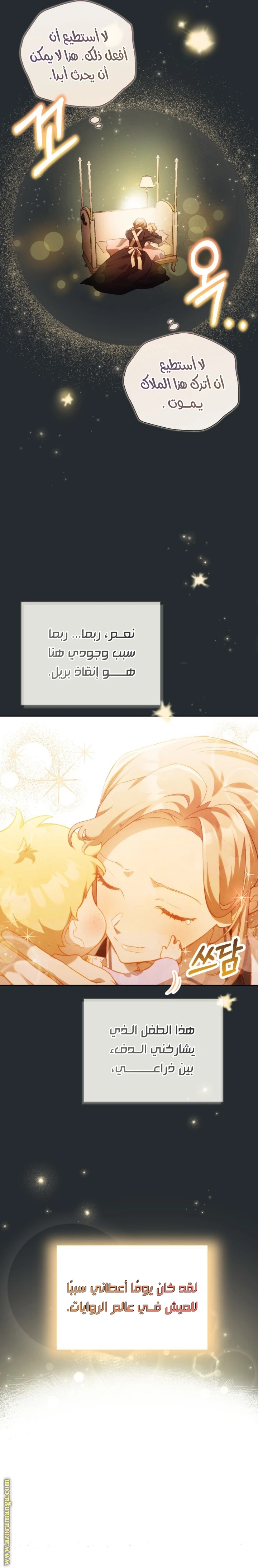 الصفحة 13