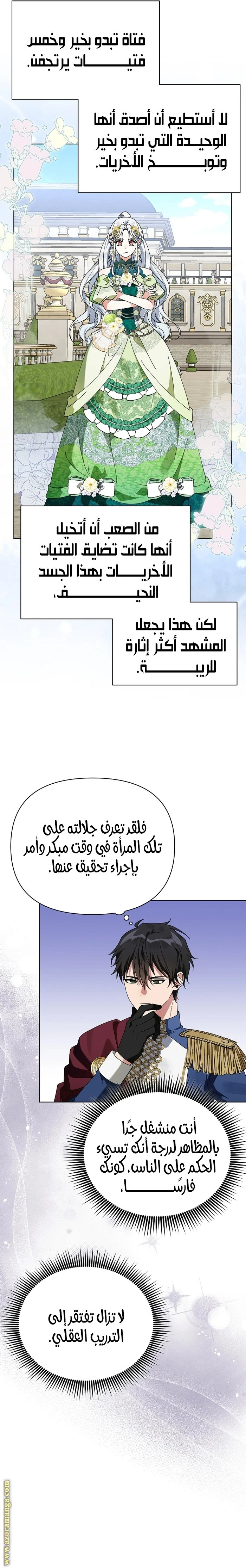 الصفحة 14