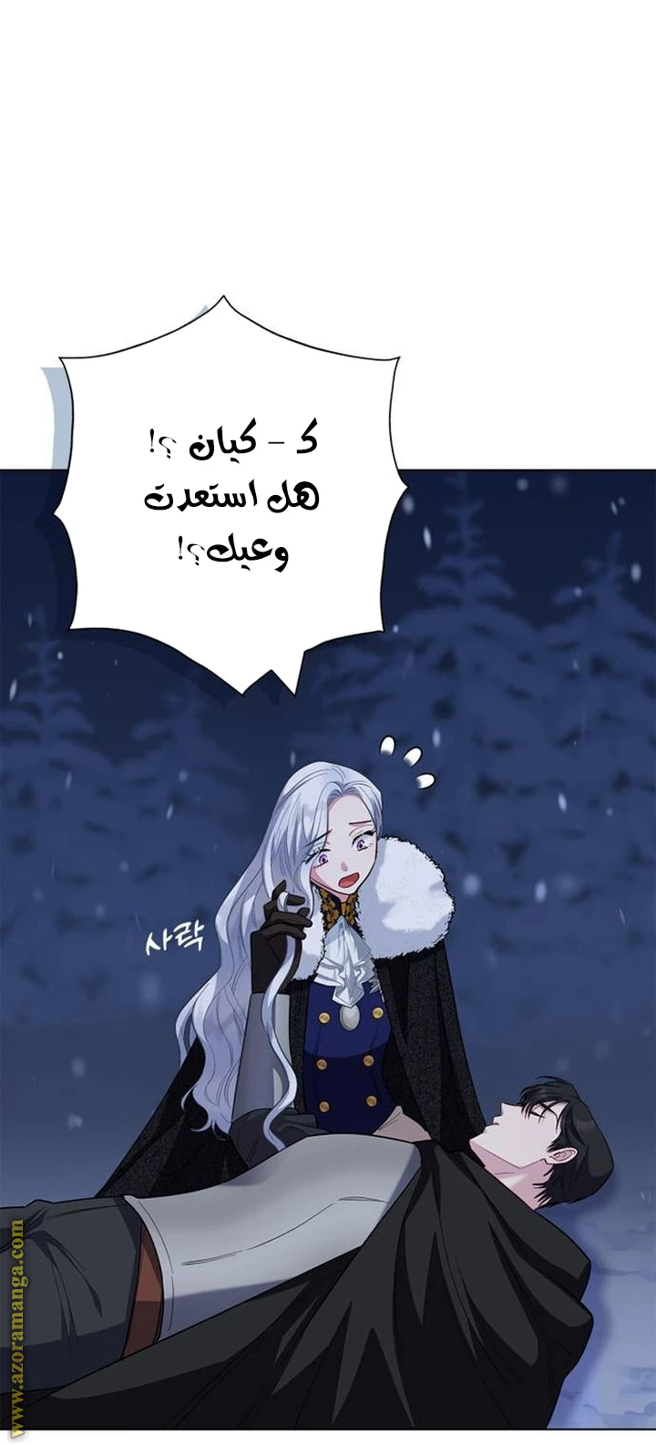 الصفحة 17