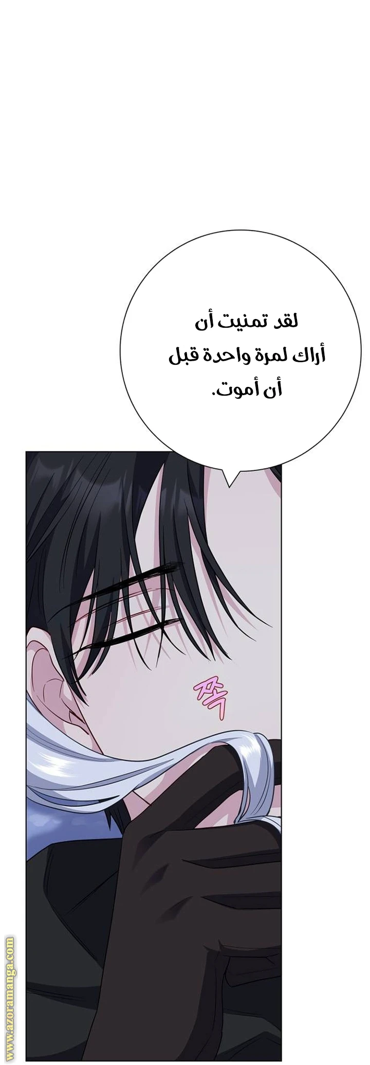 الصفحة 19