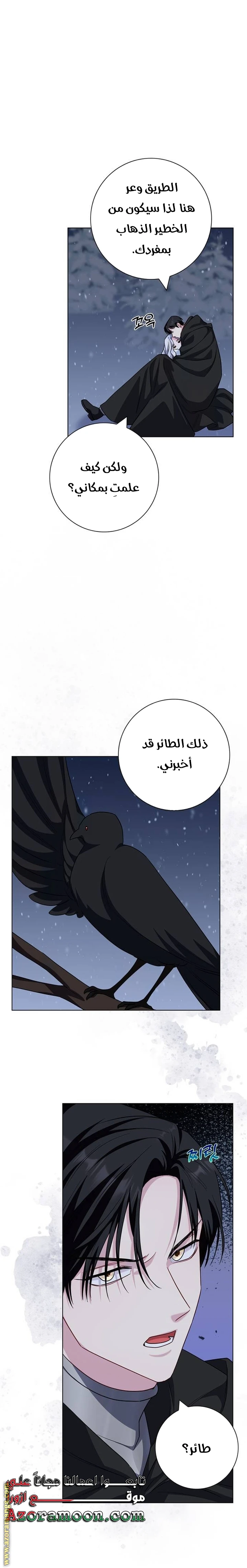 الصفحة 26