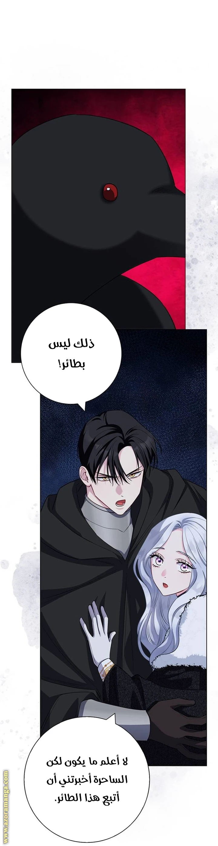 الصفحة 27