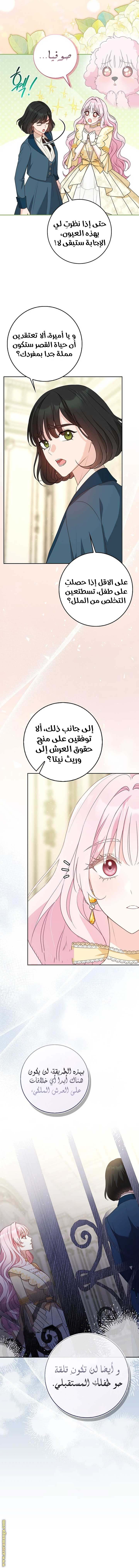الصفحة 3