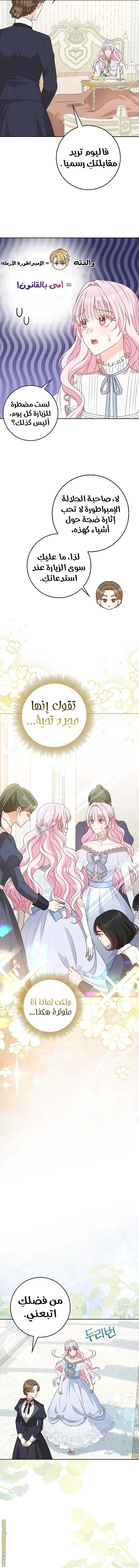 الصفحة 7