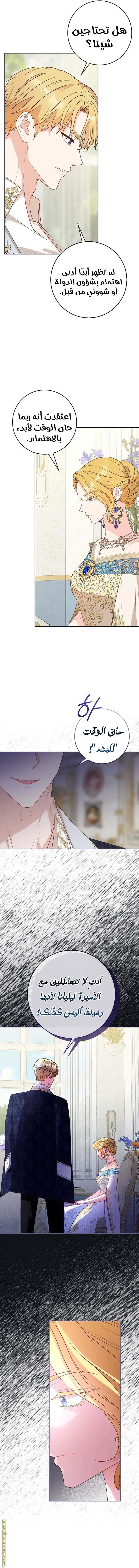 الصفحة 17