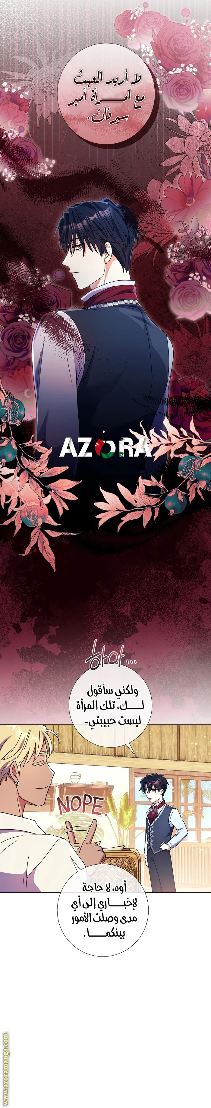 الصفحة 17