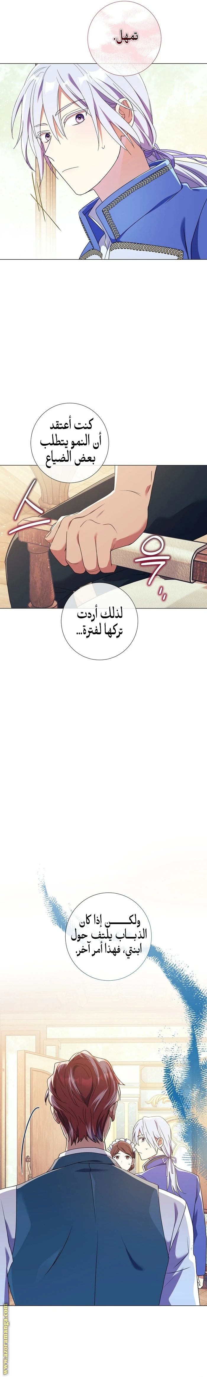 الصفحة 25