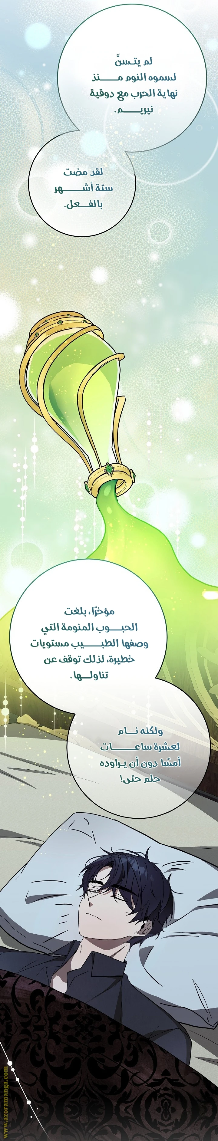 الصفحة 21