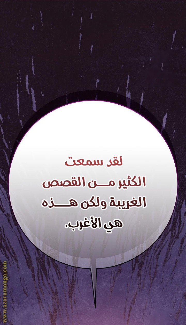 الصفحة 33