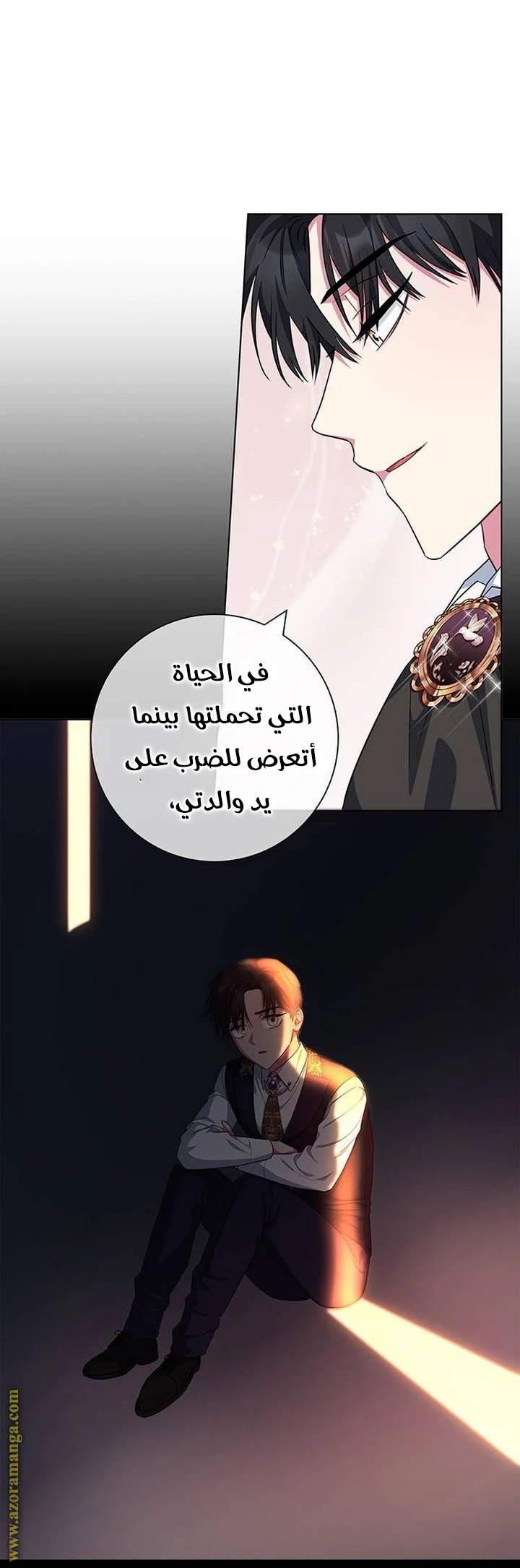 الصفحة 13