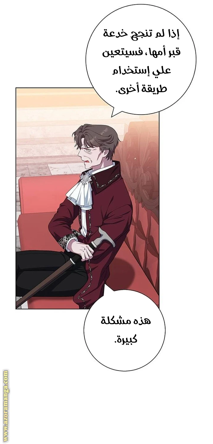 الصفحة 21