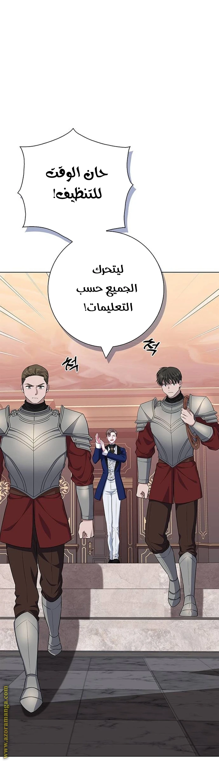 الصفحة 29