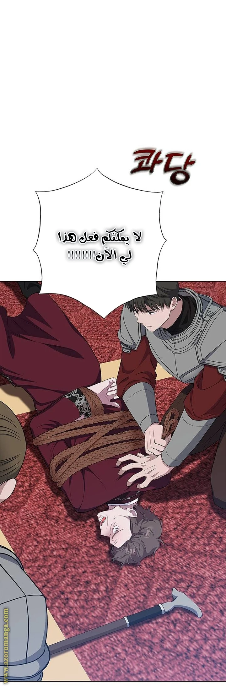الصفحة 31