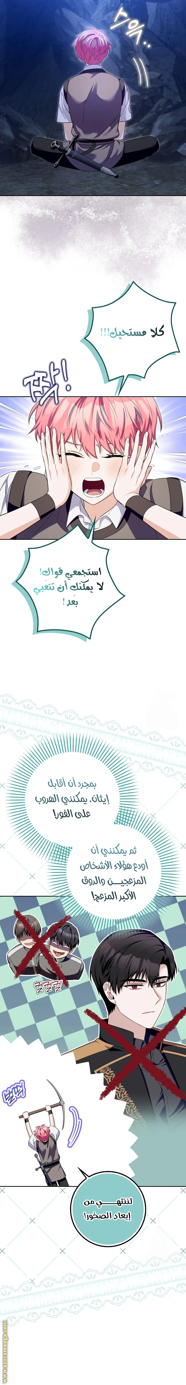 الصفحة 11