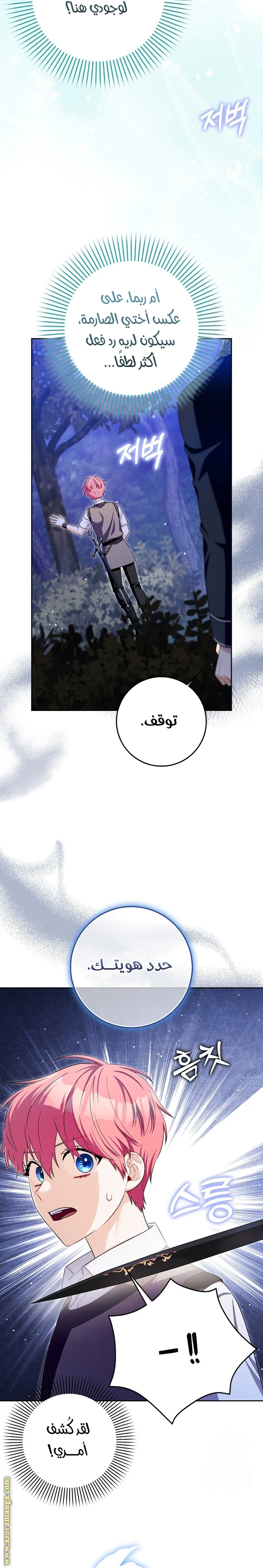 الصفحة 19