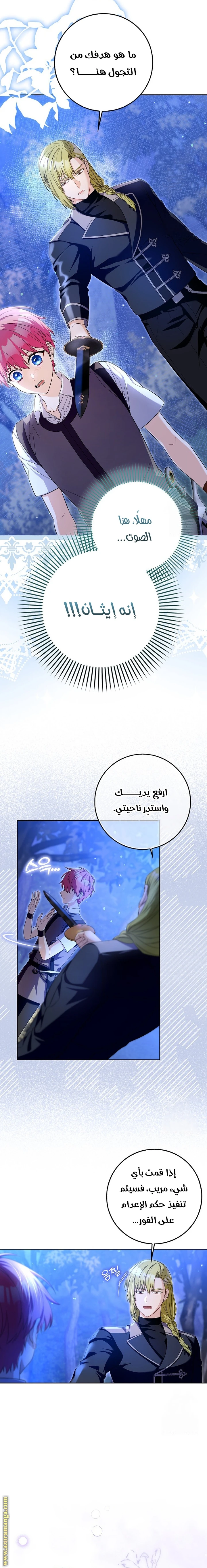 الصفحة 20