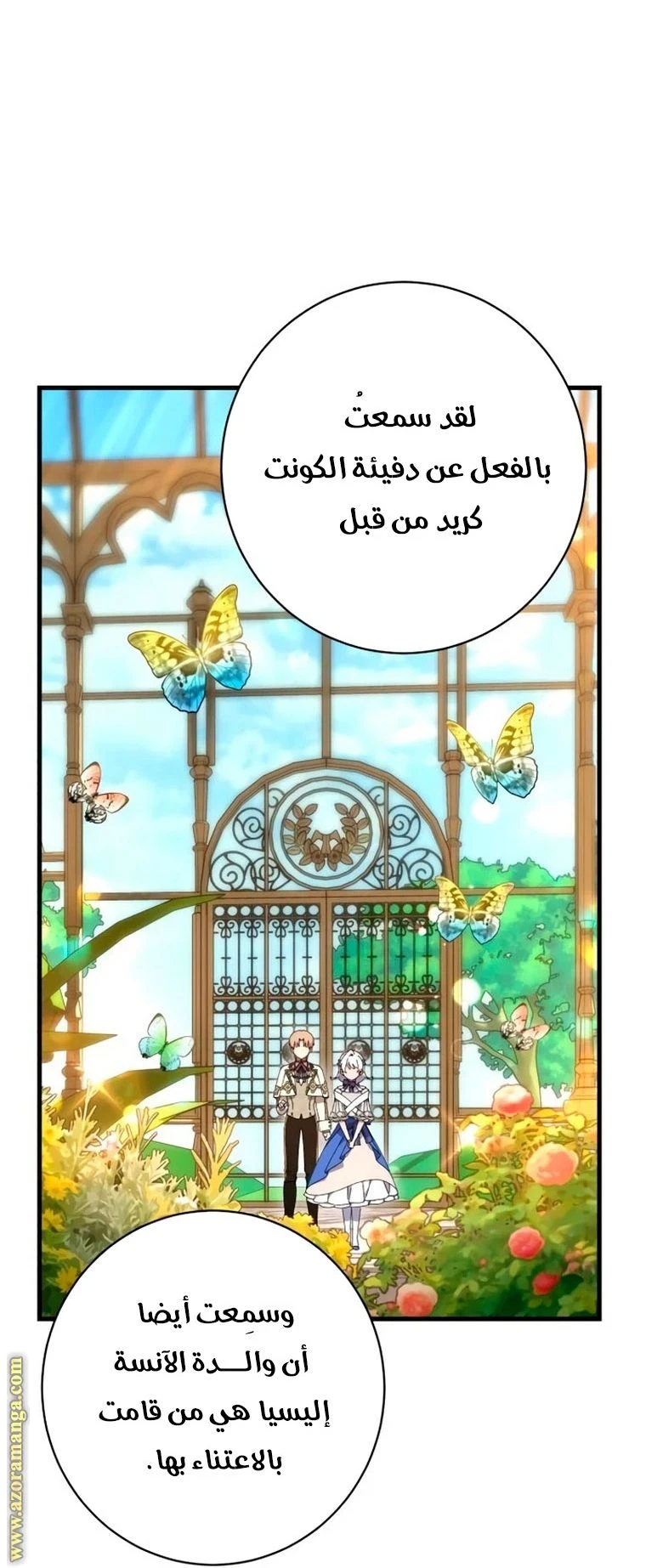 الصفحة 17
