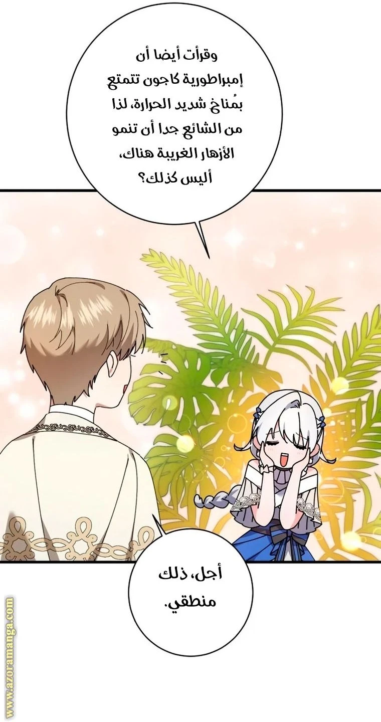 الصفحة 33
