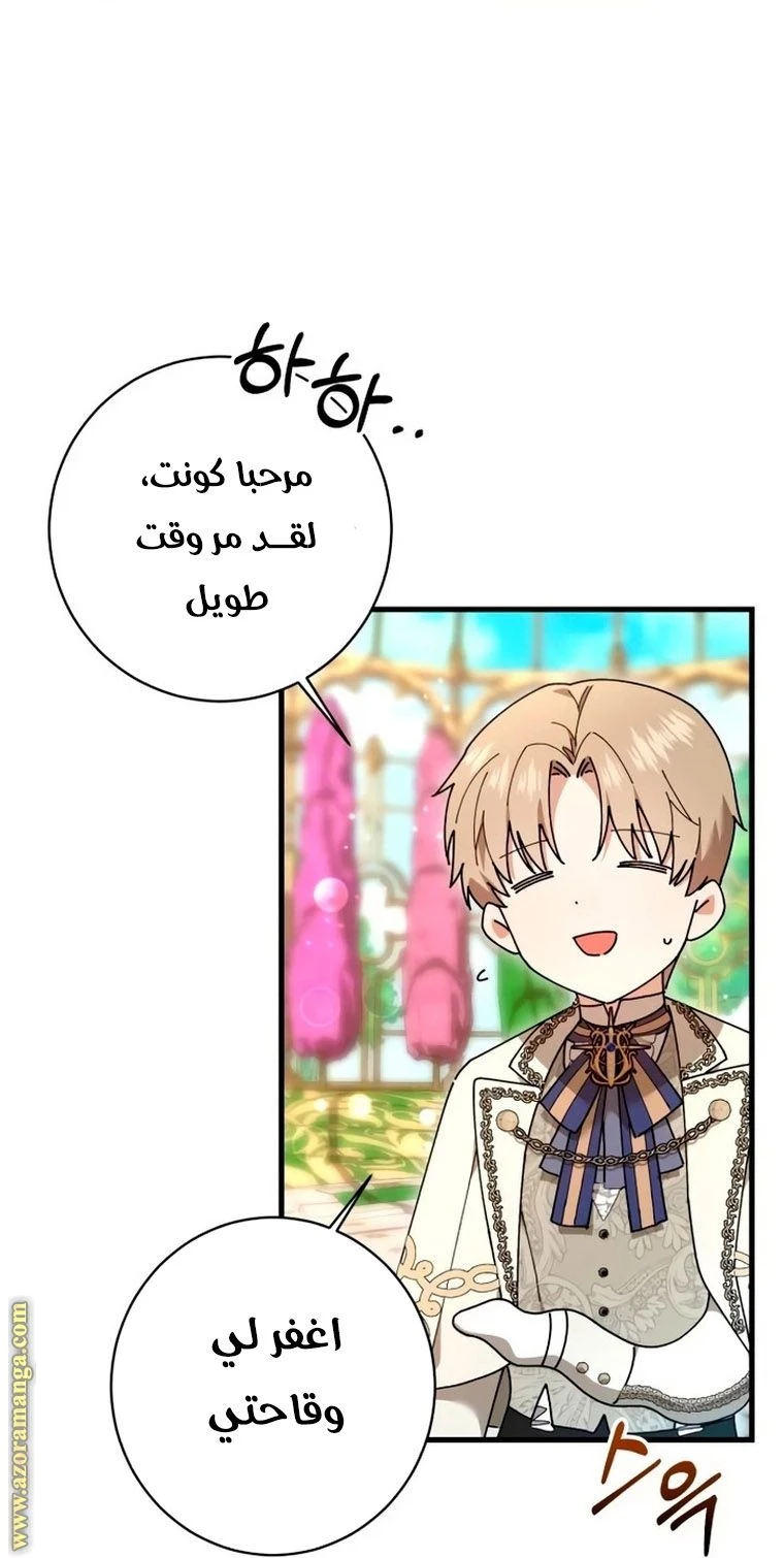 الصفحة 43