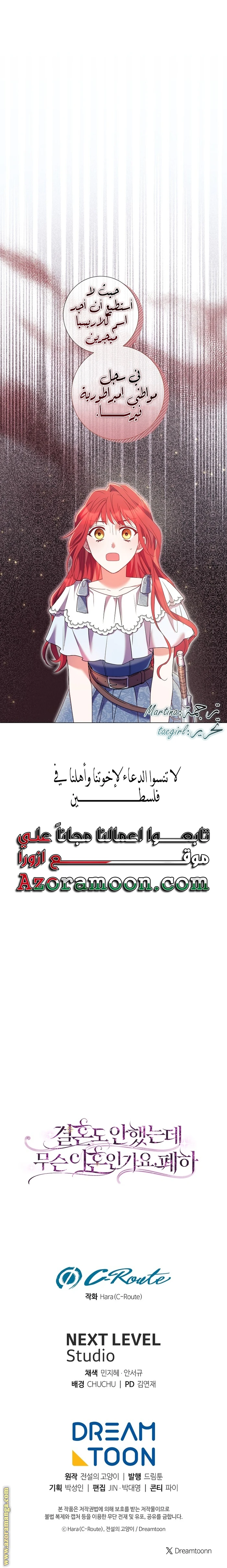 الصفحة 25