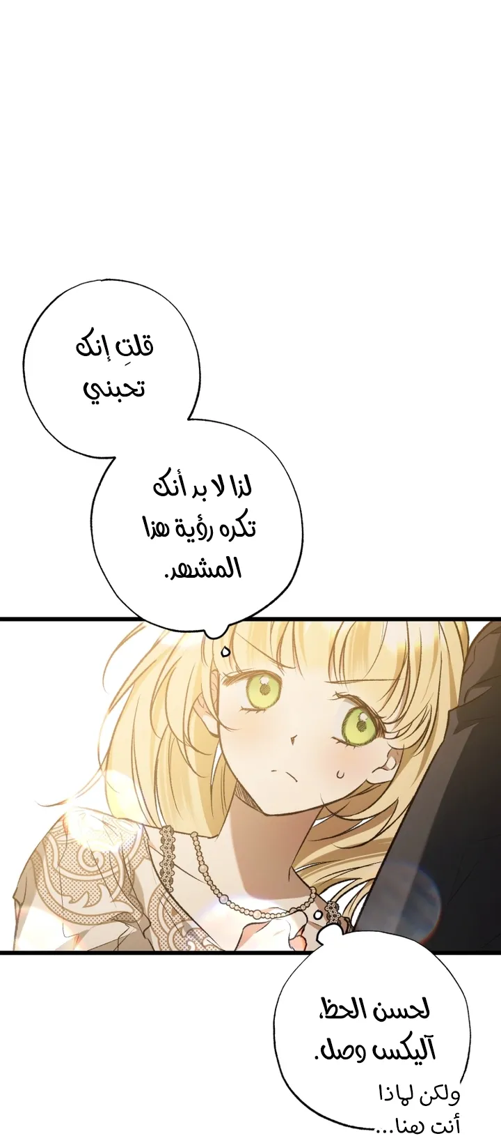 الصفحة 26