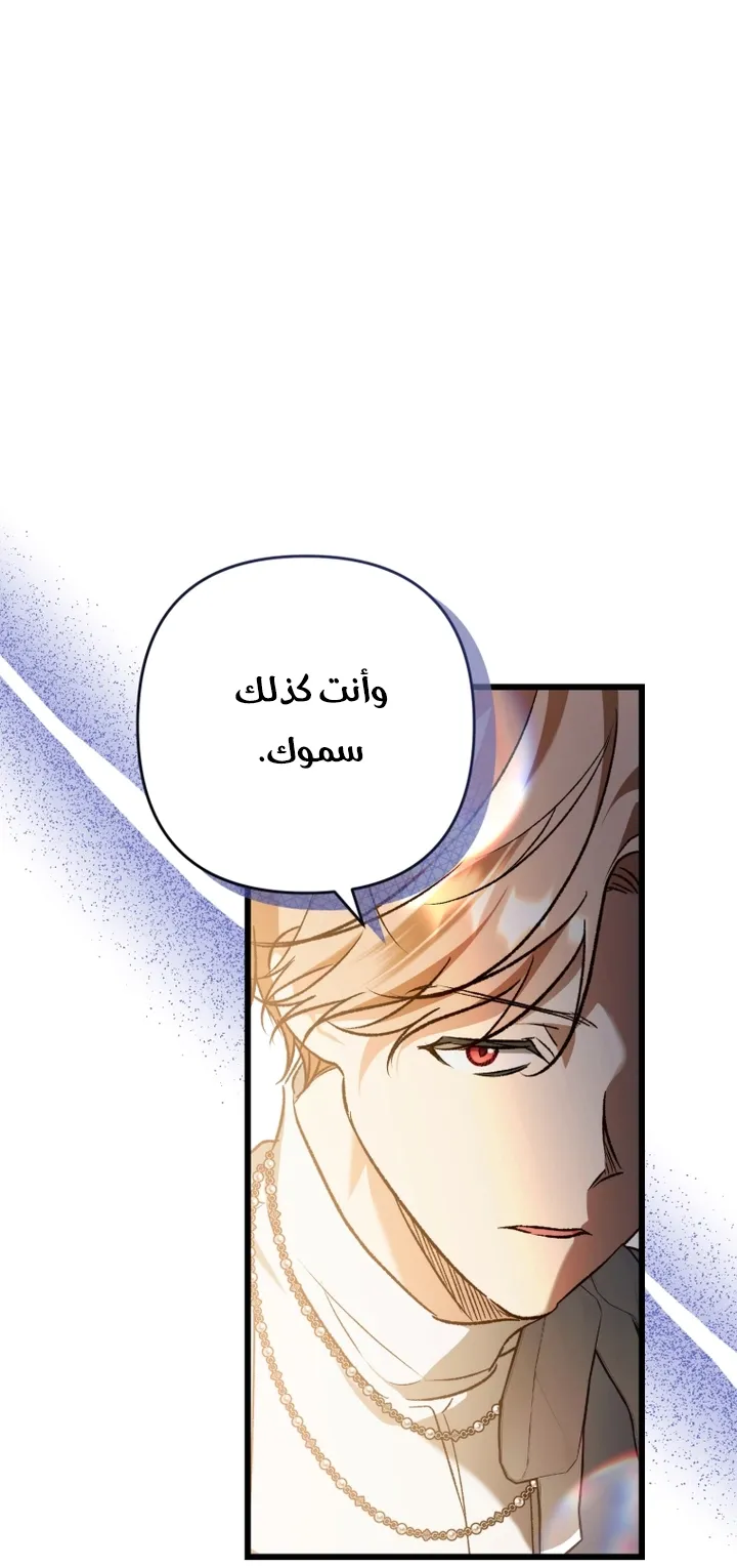 الصفحة 28