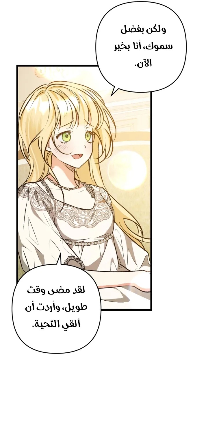 الصفحة 37