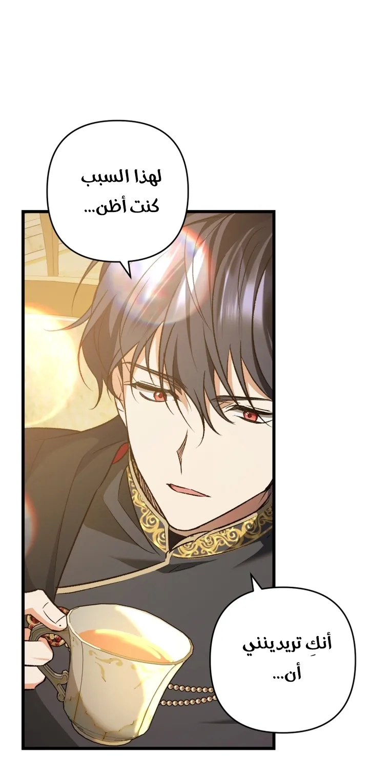 الصفحة 45
