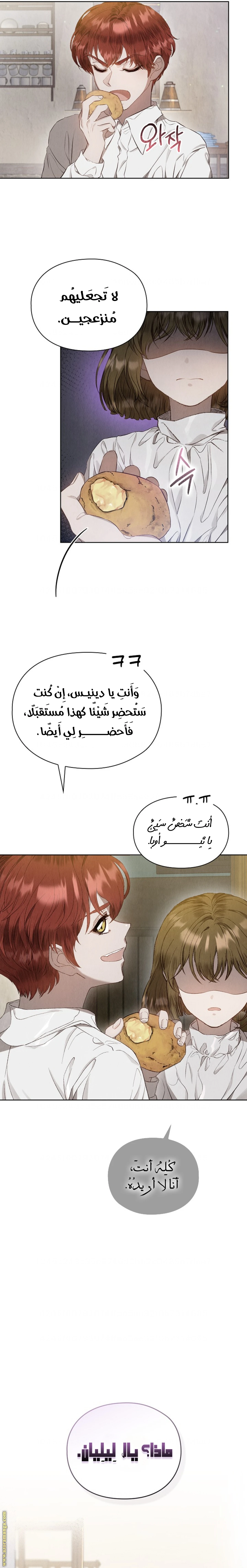 الصفحة 11