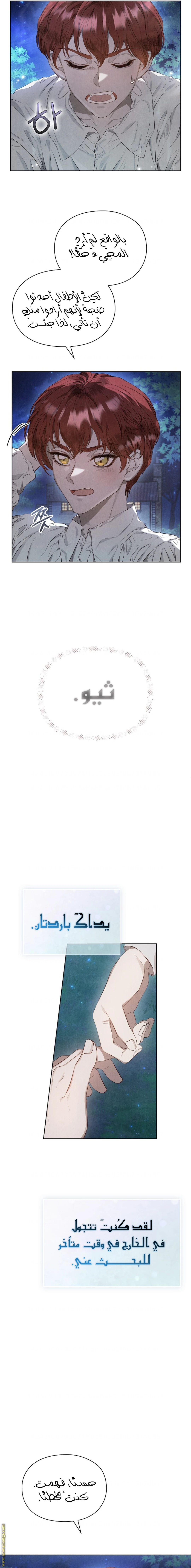 الصفحة 15