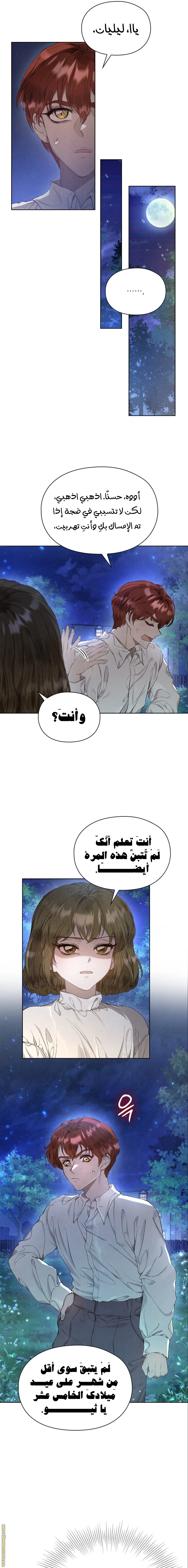 الصفحة 19