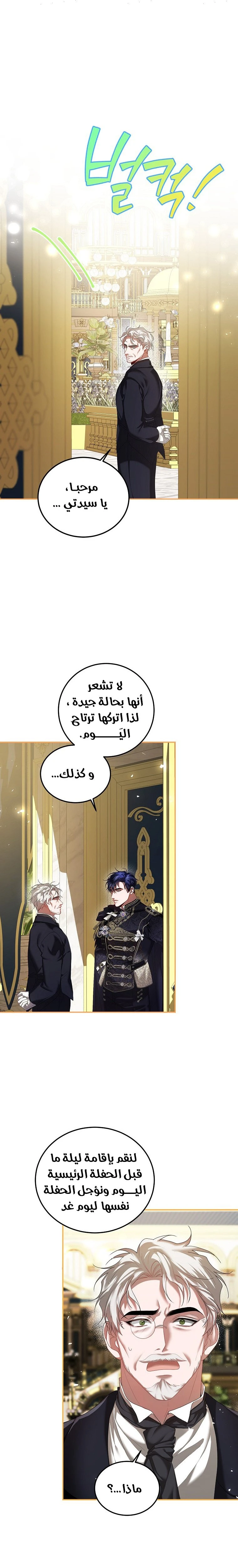الصفحة 19