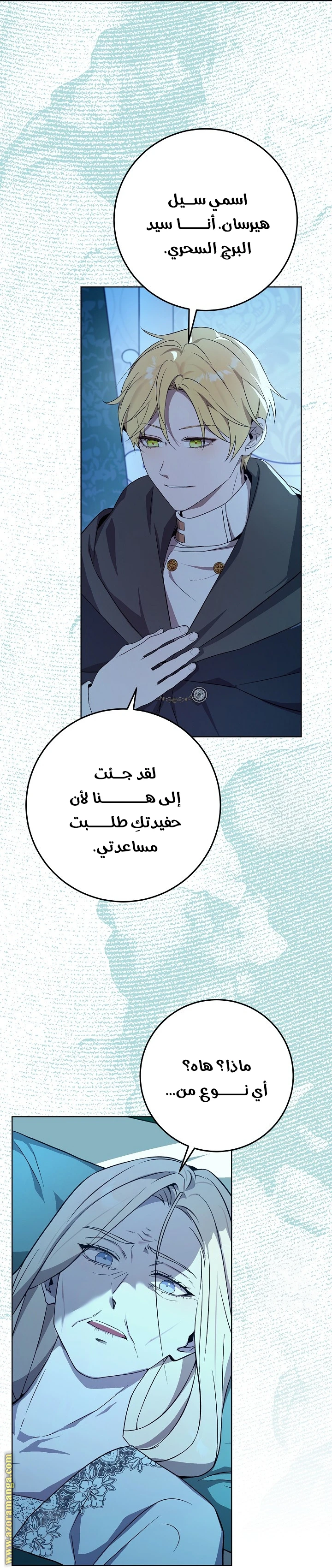 الصفحة 12