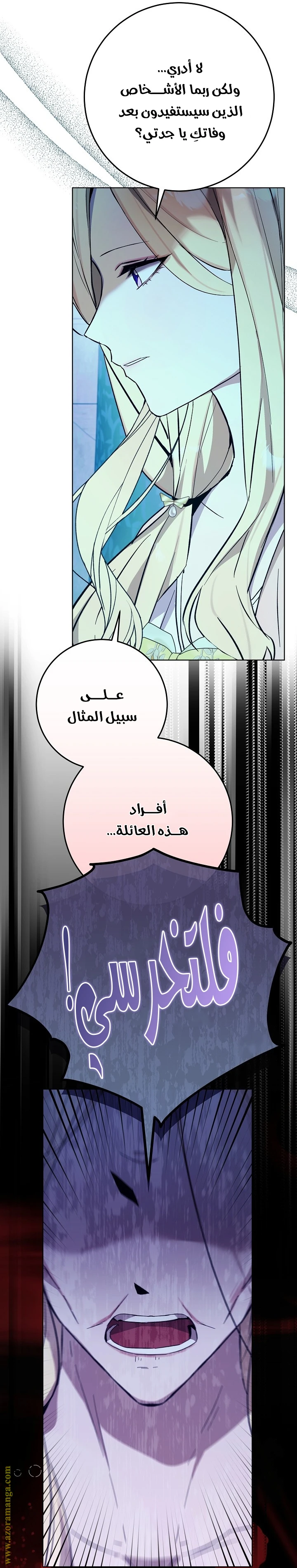 الصفحة 17